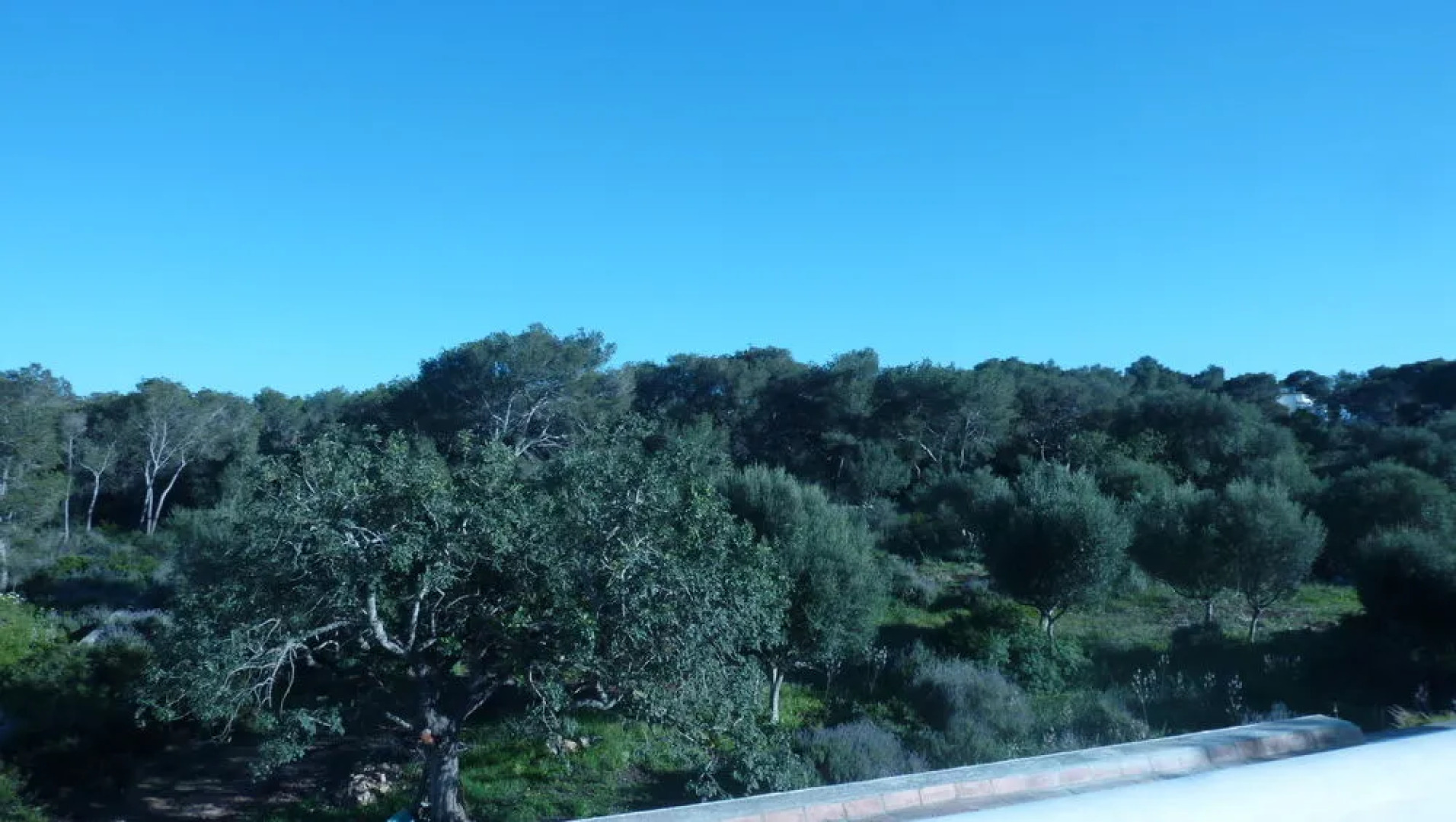 Apartamentos Villa Primera