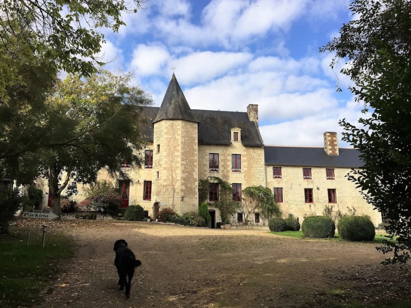 Au Prince Grenouille