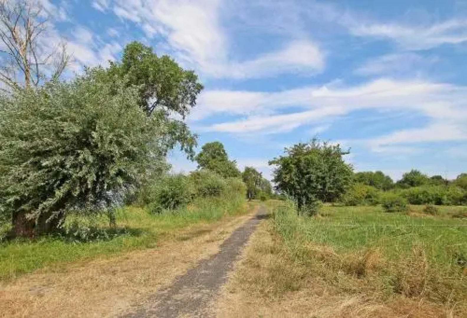 Holz_Ferienhaeuser Rechlin SEE 9800