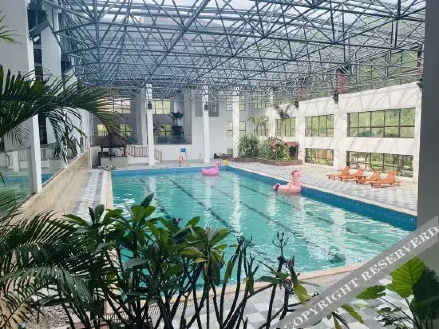 Forest Hot Springs Resort Hotel