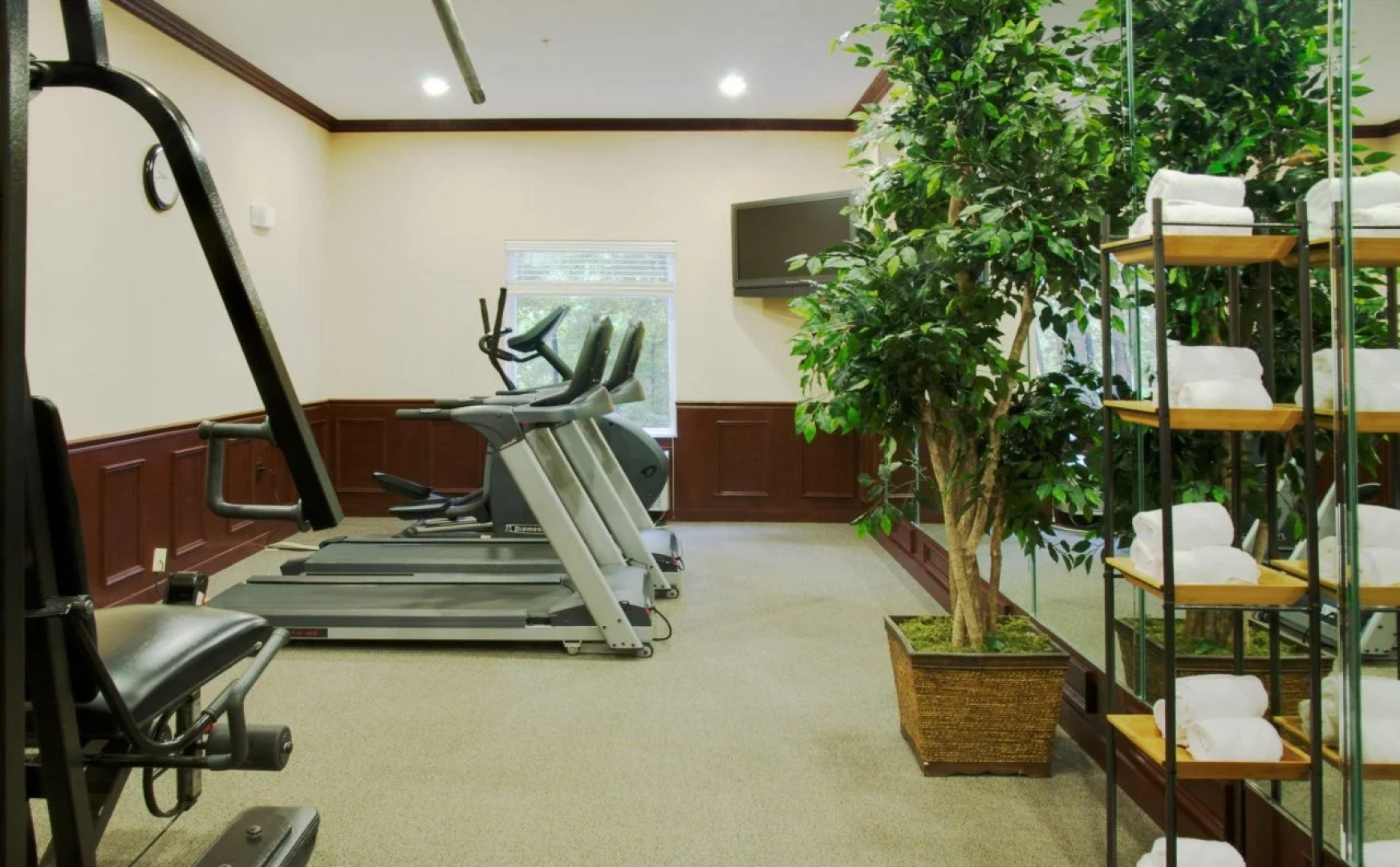 Holiday Inn Express & Suites Lufkin South by IHG