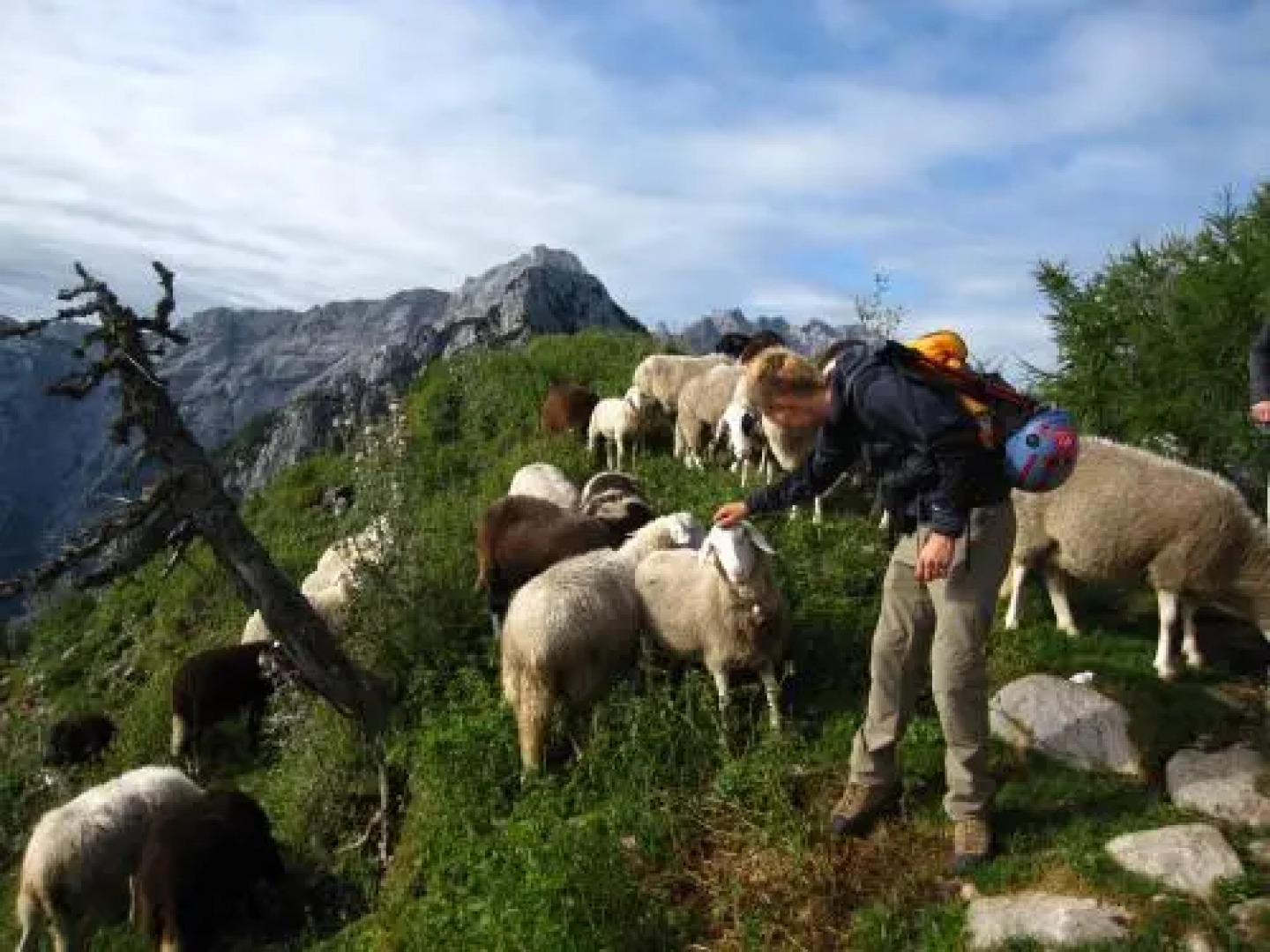 Guest House Pri Rogovilcu