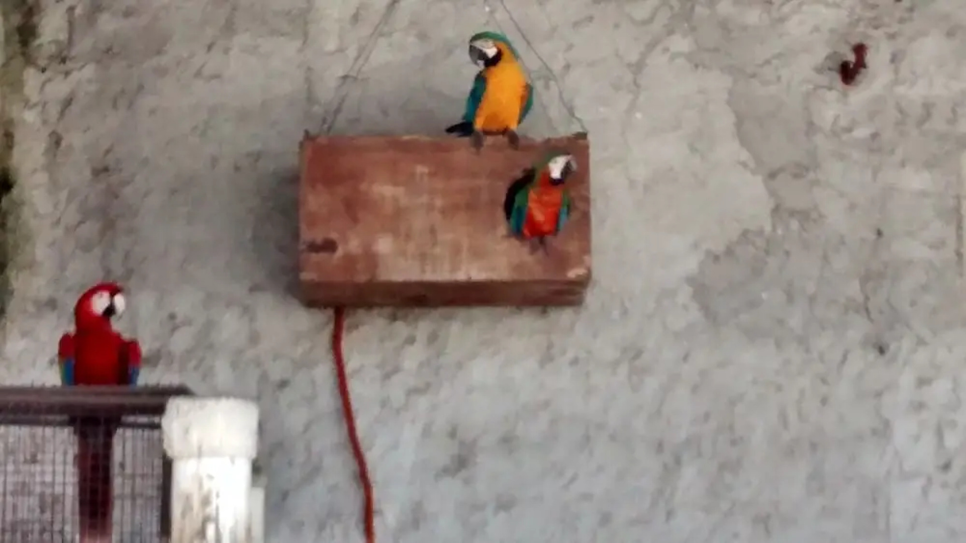 Resort Mision del Mar