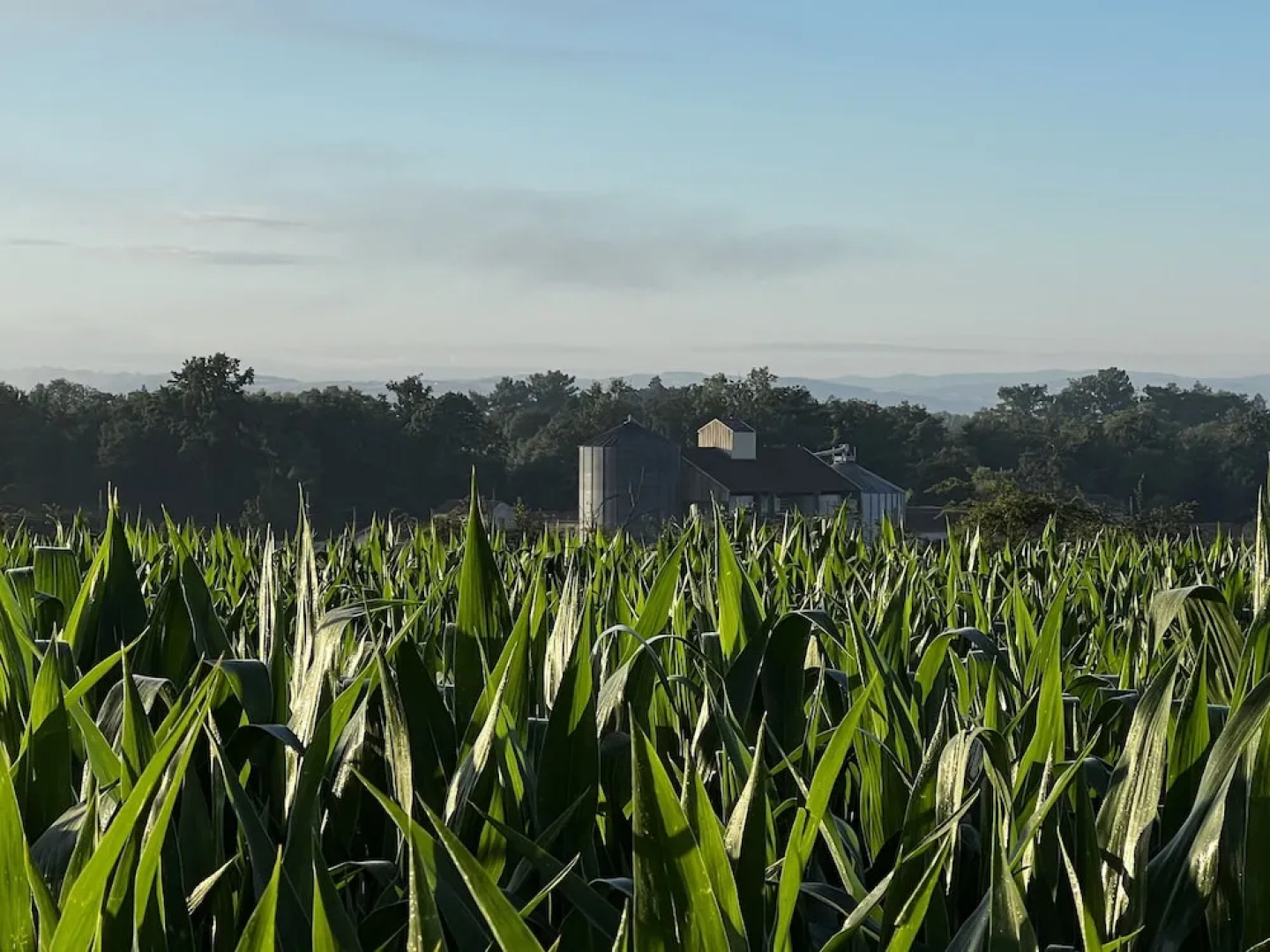 Orangerie de Chatel sélection Figaro & Elle Magazine