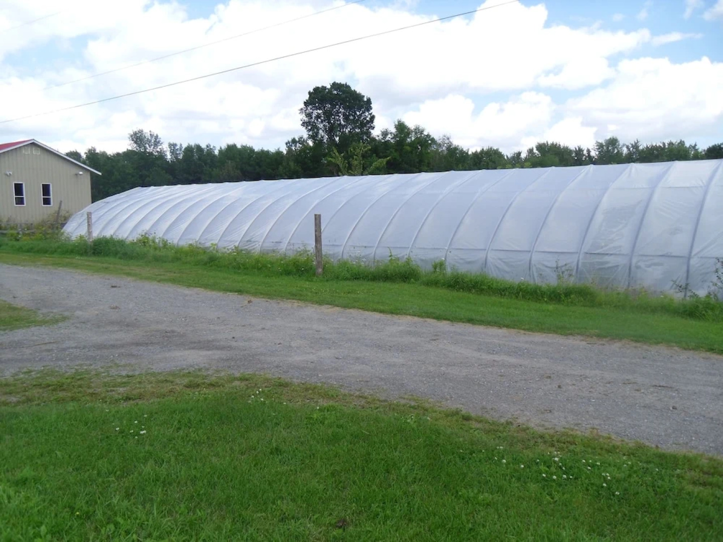 Safehaven Bed and Breakfast