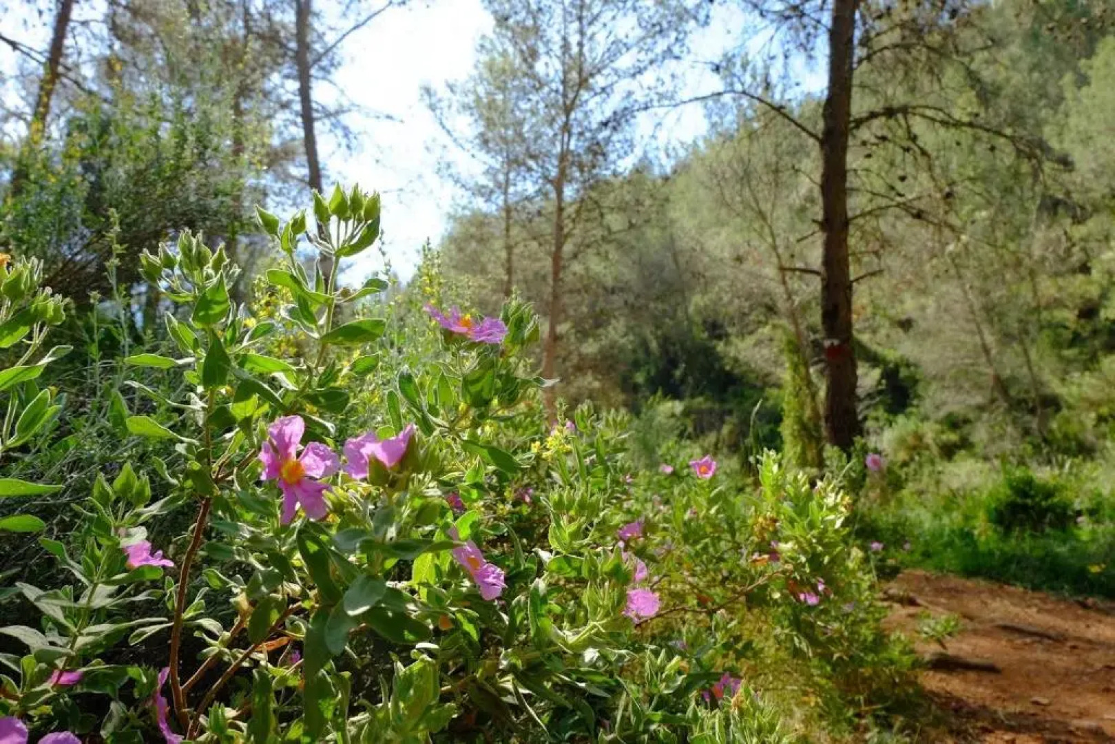 Casa Rural La Tramontana