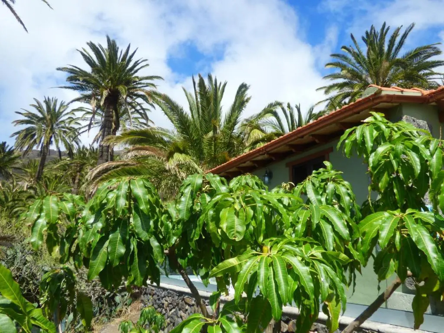 El Pirguan Holiday House, your oasis in La Gomera