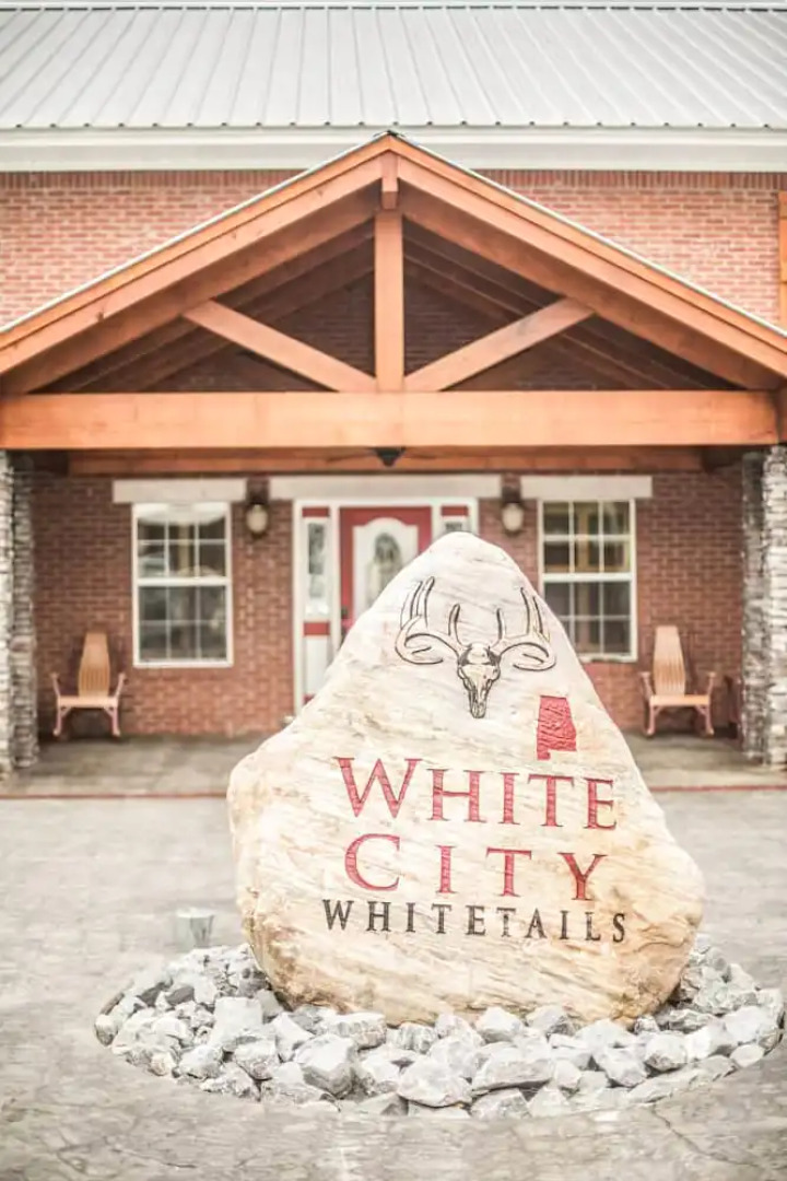 The Venue at White City