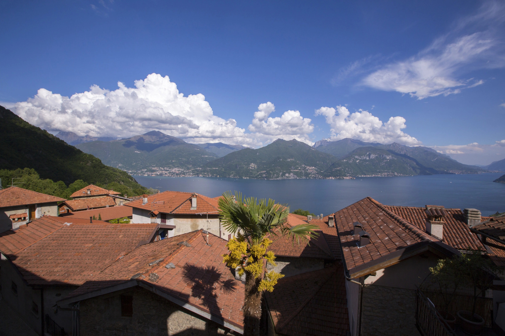 Rustico Logo Bellavista