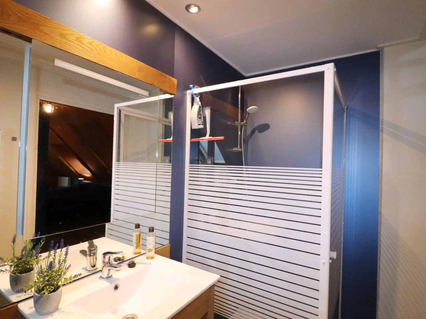 Attractive apartment in Haulerwijk with garden