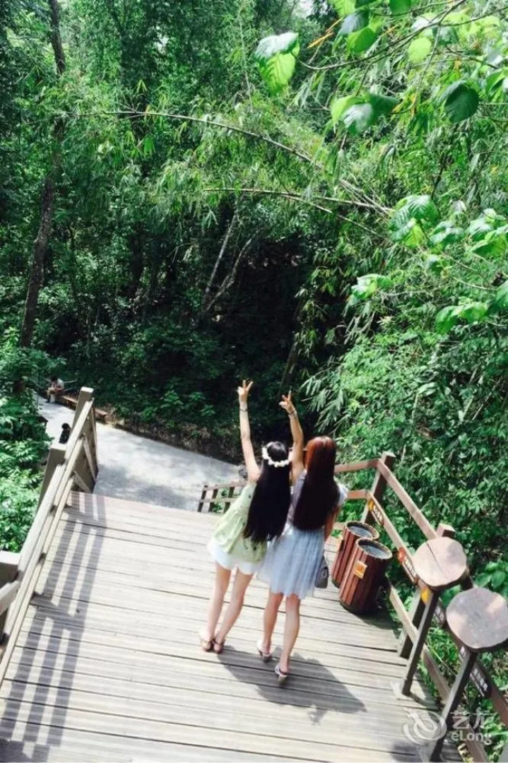 西双版纳澜湄万象观光酒店