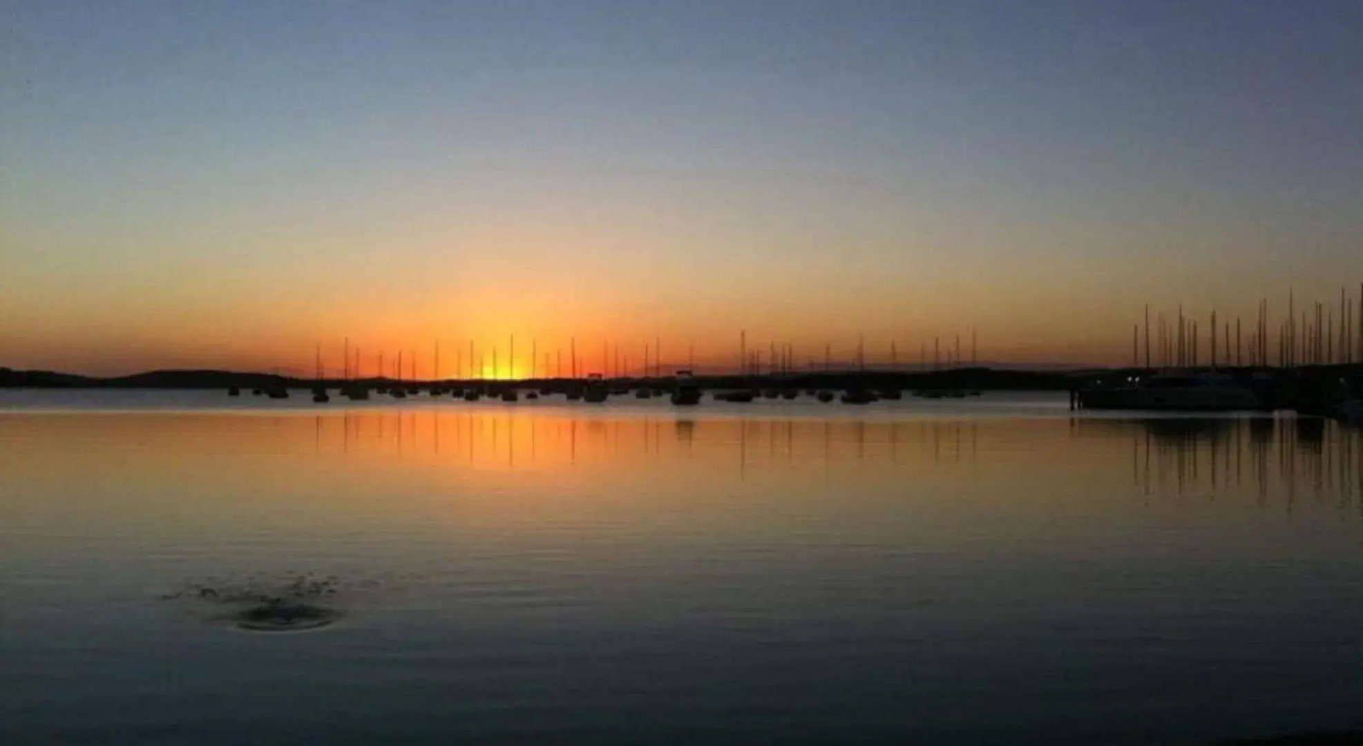 Aquarius Motel Belmont