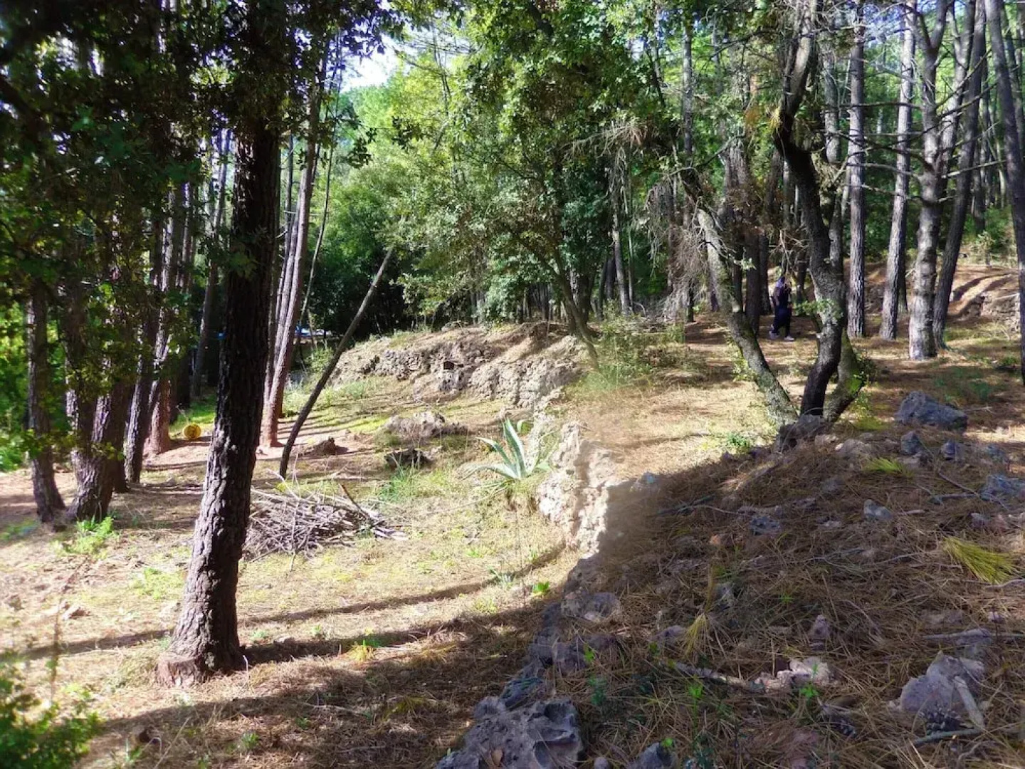 Villa With 2 Bedrooms in Bédarieux, With Private Pool, Furnished Garden and Wifi - 48 km From the Beach