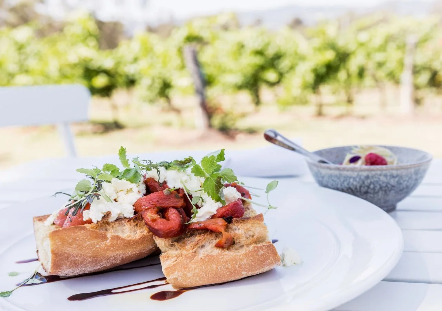 Spicers Vineyards Estate