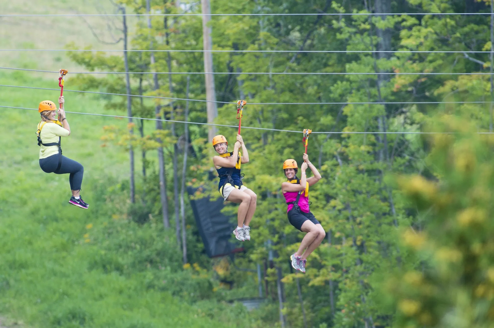 Westin Trillium House, Blue Mountain