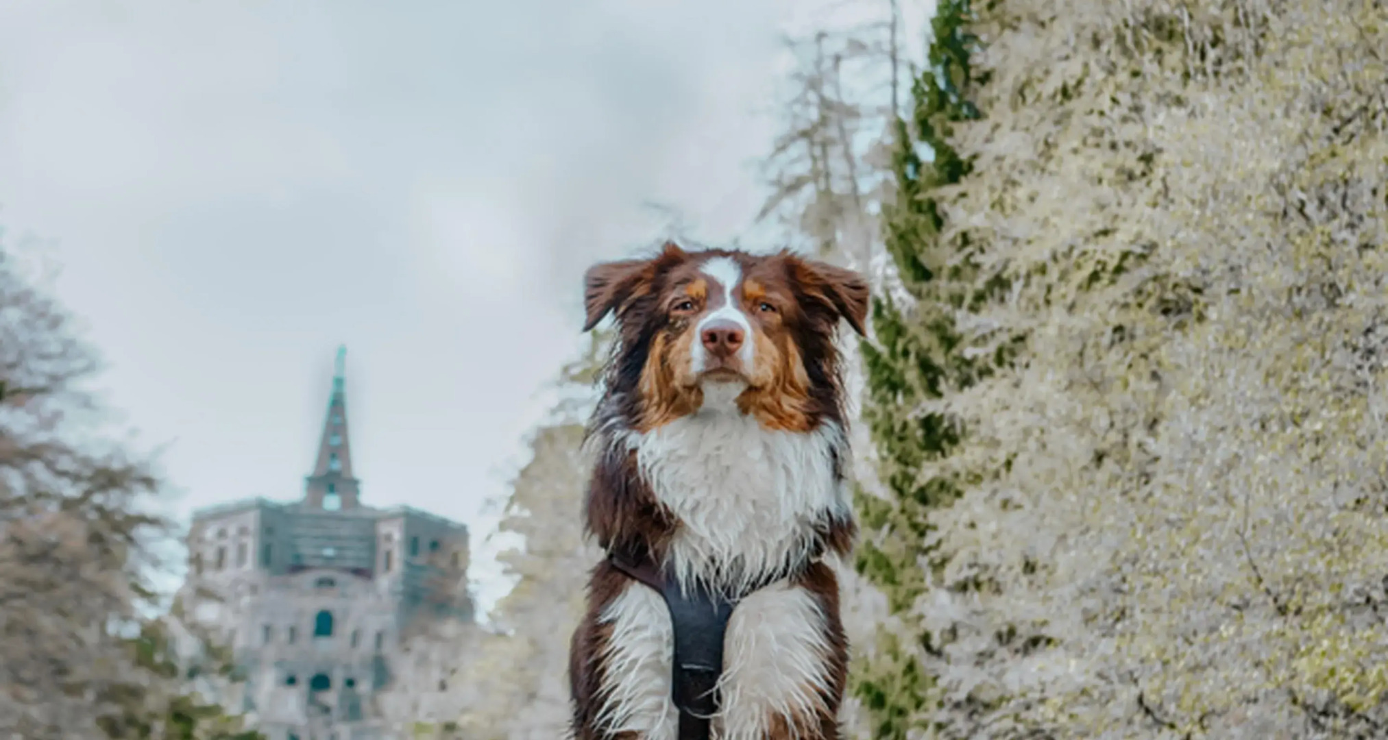 Best Western Hotel Ambassador