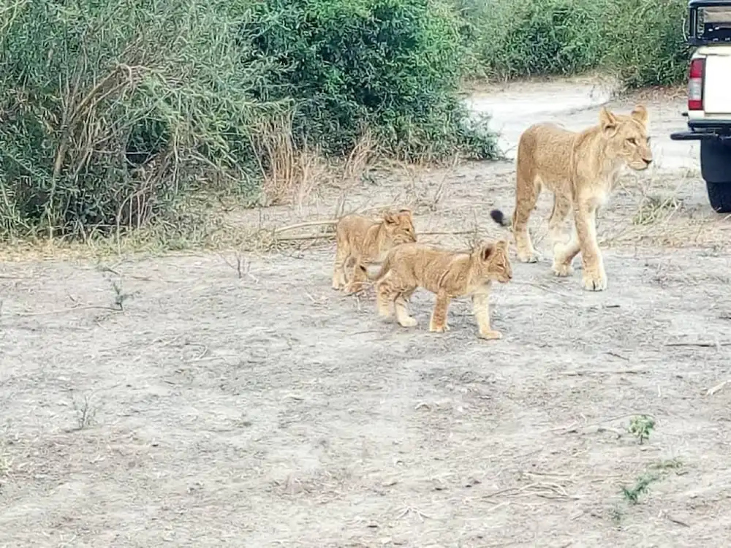 Amogelang Guest House