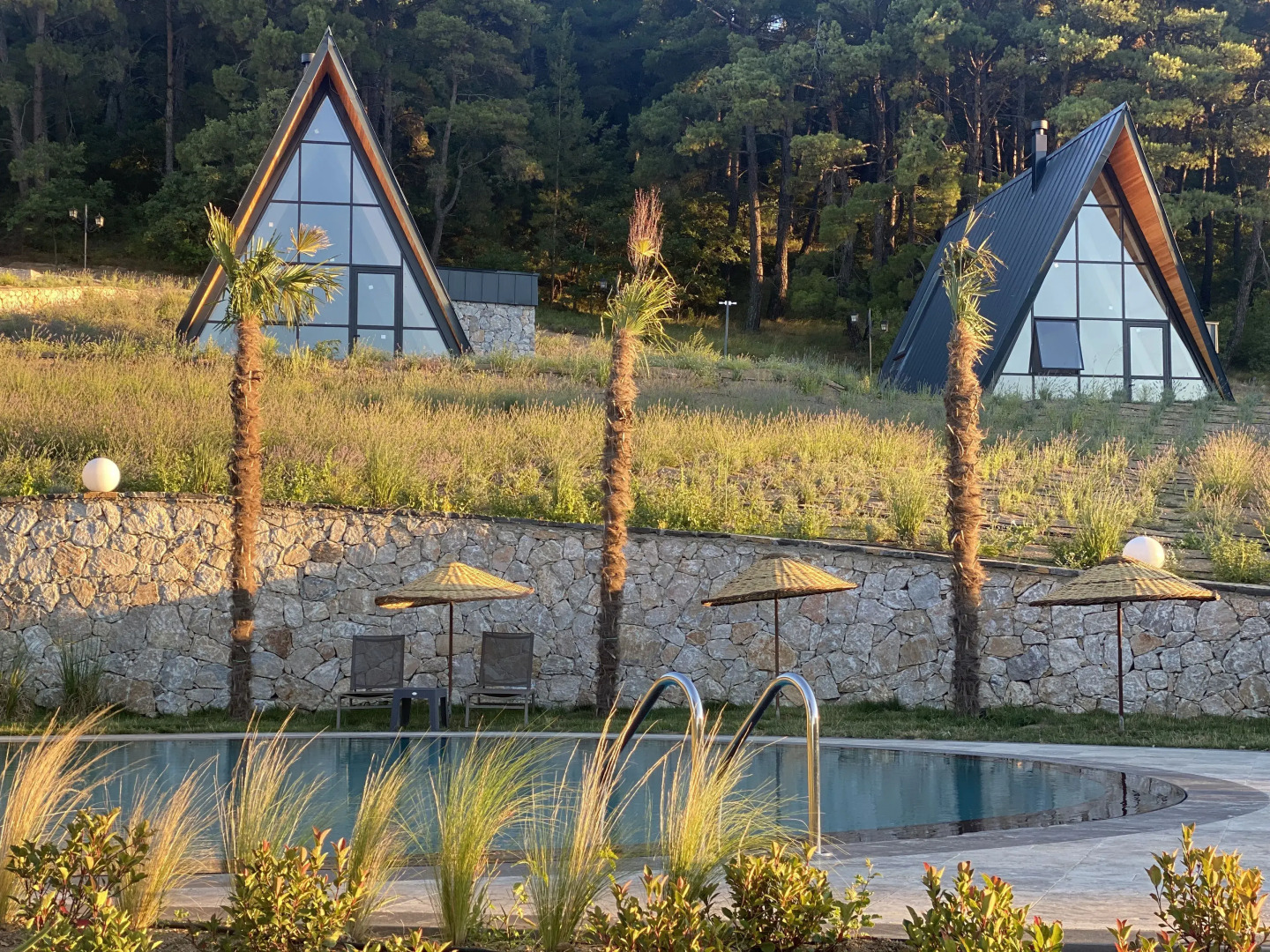 Eva Lavanda Kazdağları