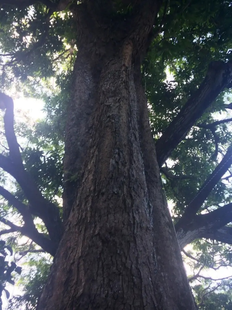 SweetSpotStay-Enchanted Grotto