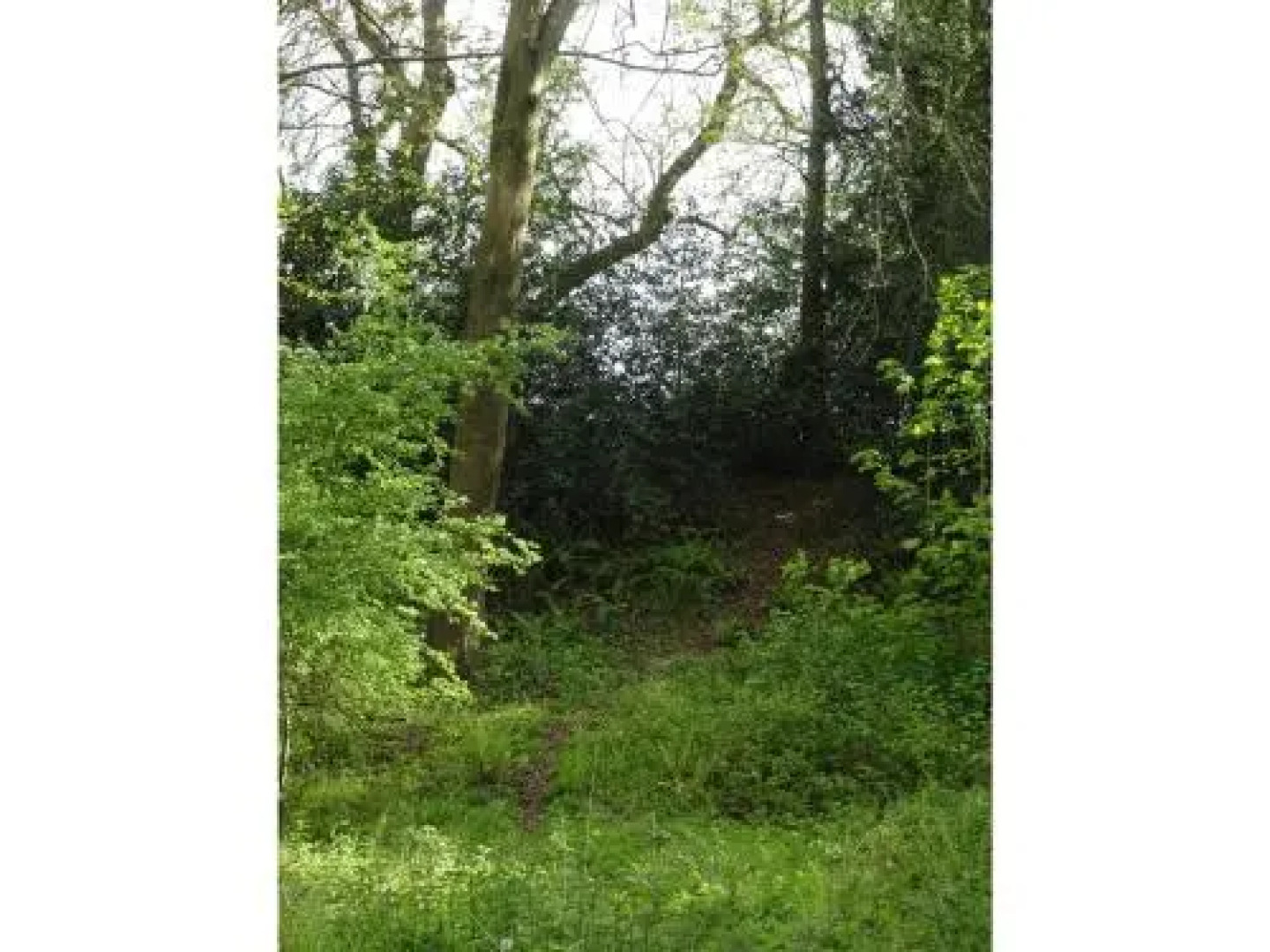 The Annex at Redlynch Lodge