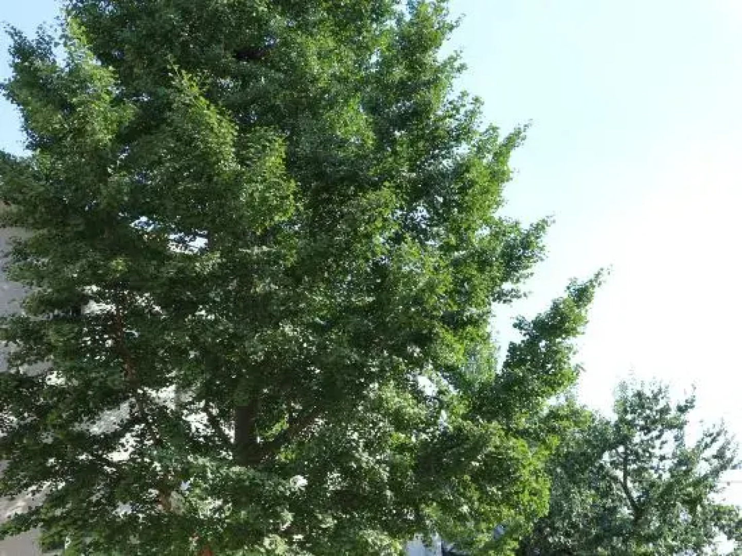 Qingliang Residential Accommodation