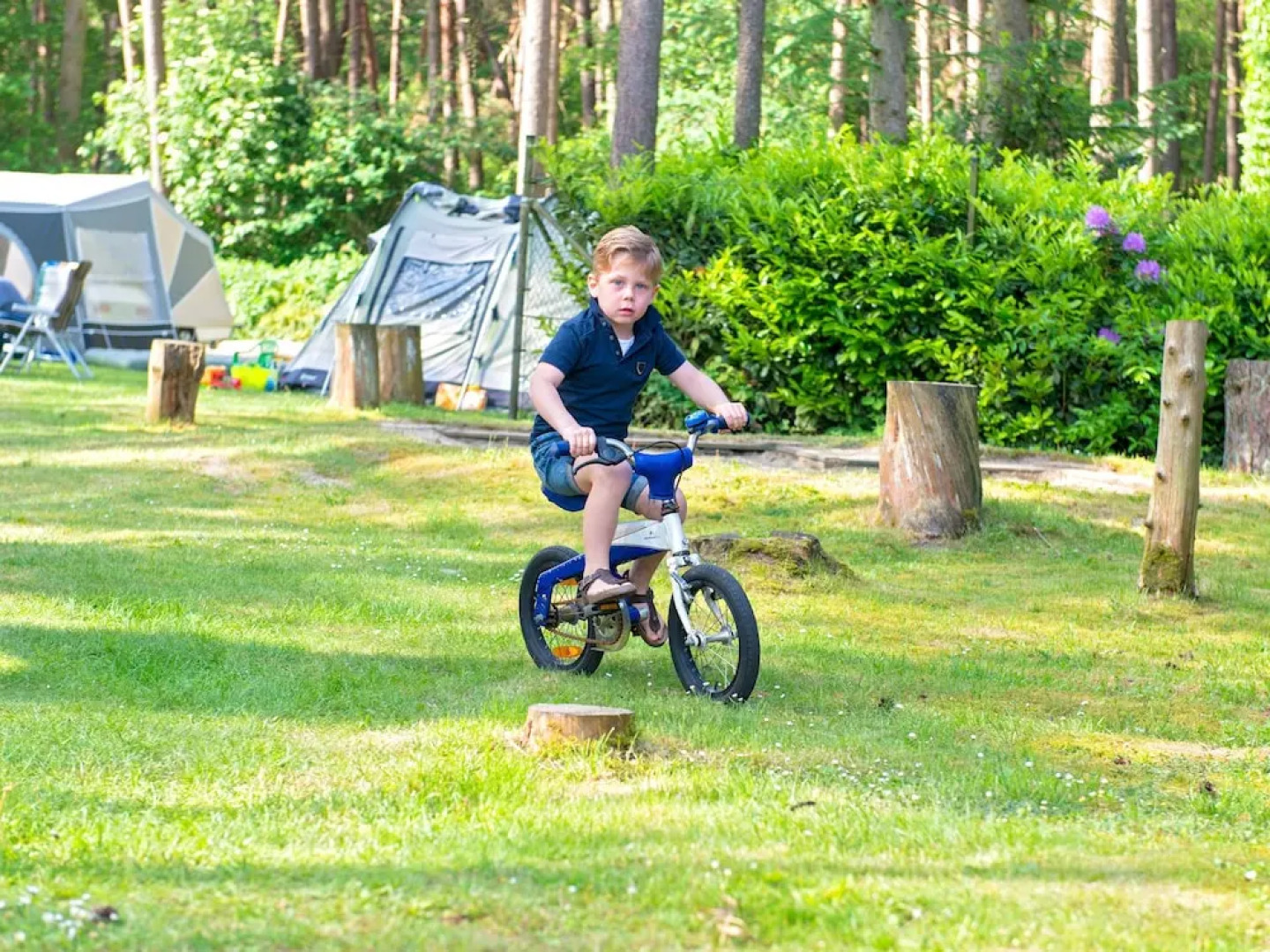 Cozy Detached Chalet with Terrace near Oisterwijkse Vennen