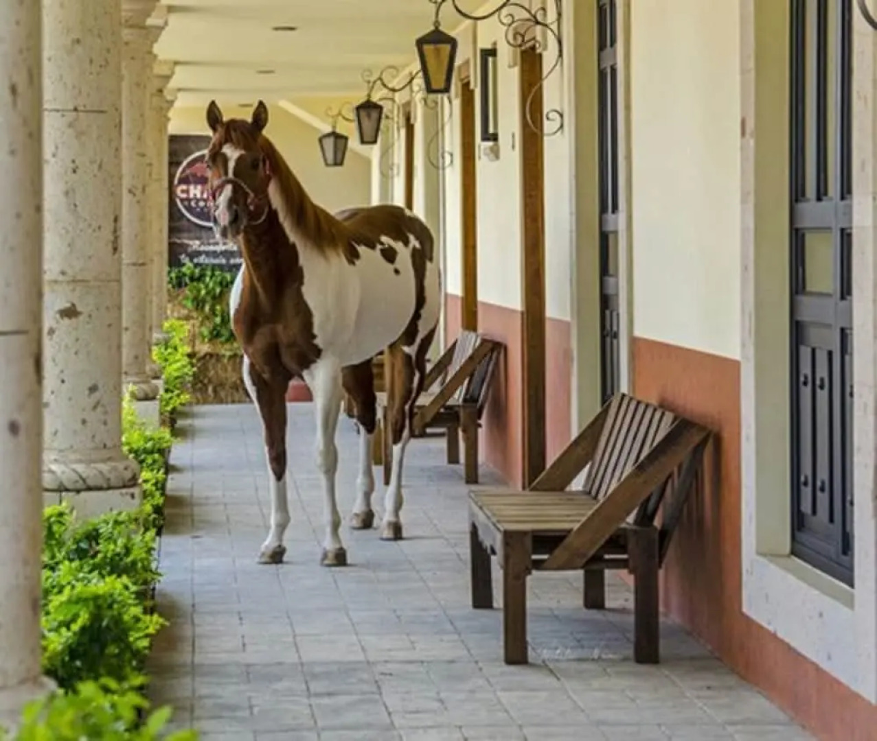 Chalet de Colombo Hotel