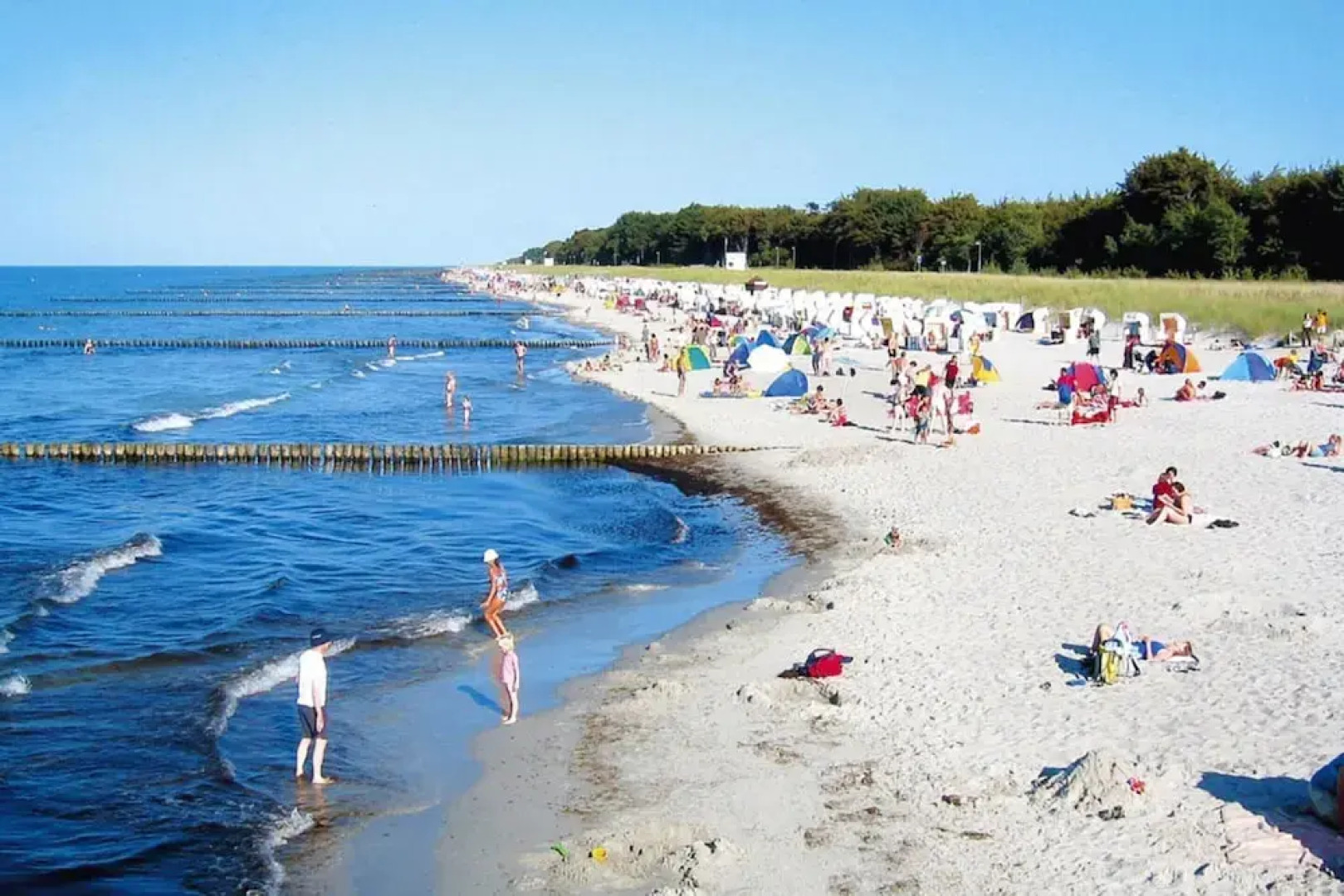 Starfish Holiday Home in Rerik Near Beach
