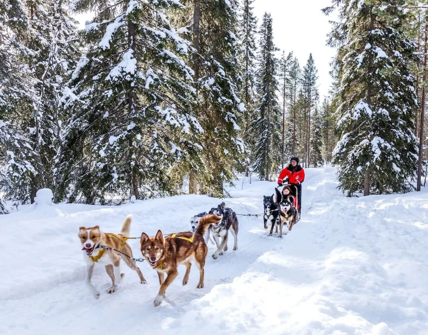 Lapland Hotels Bear's Lodge