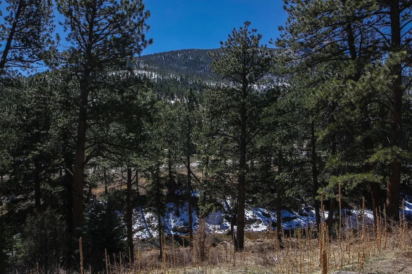 Fawn Valley Inn: 104