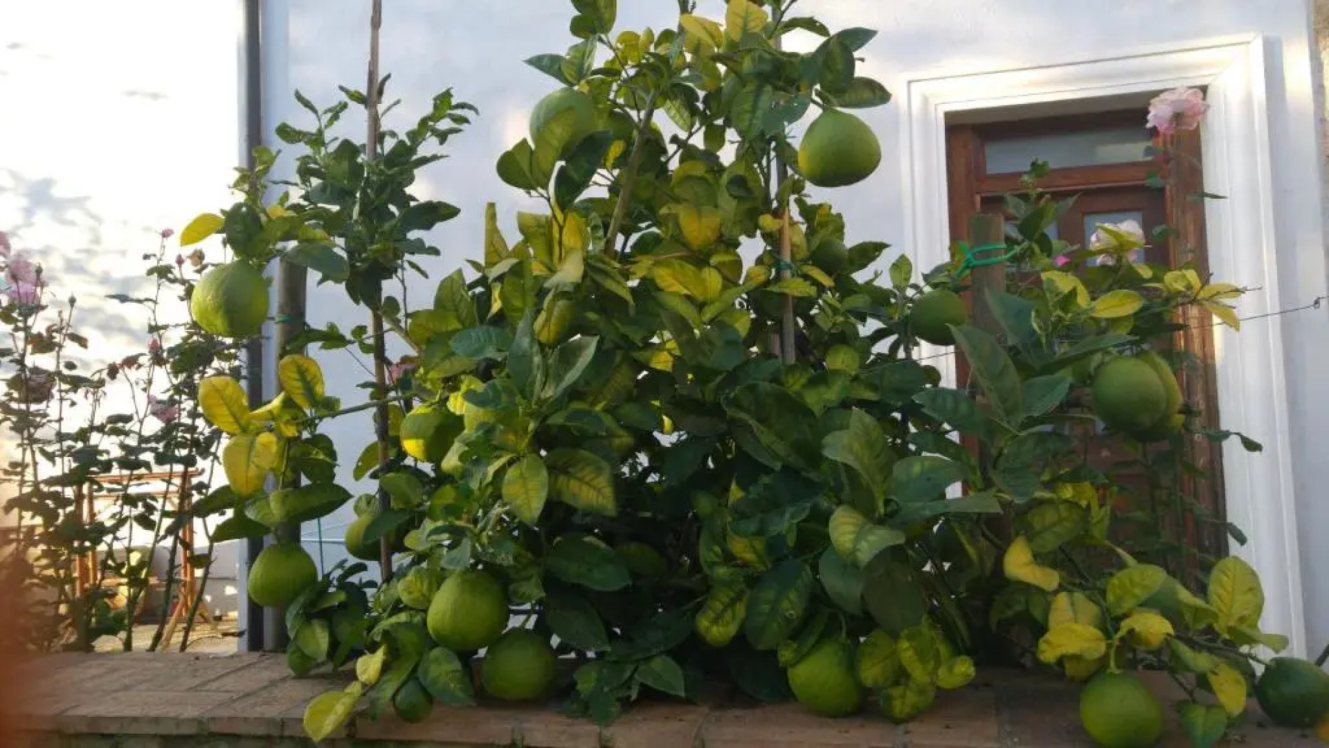 Borgo Patierno Agristor Country House