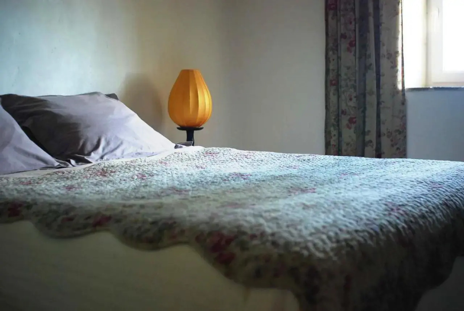 Maison de Charme Dans Domaine 17eme