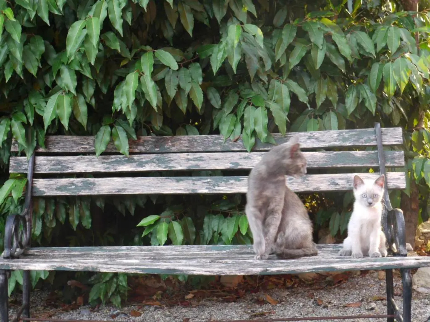 Agriturismo Monte Genesio