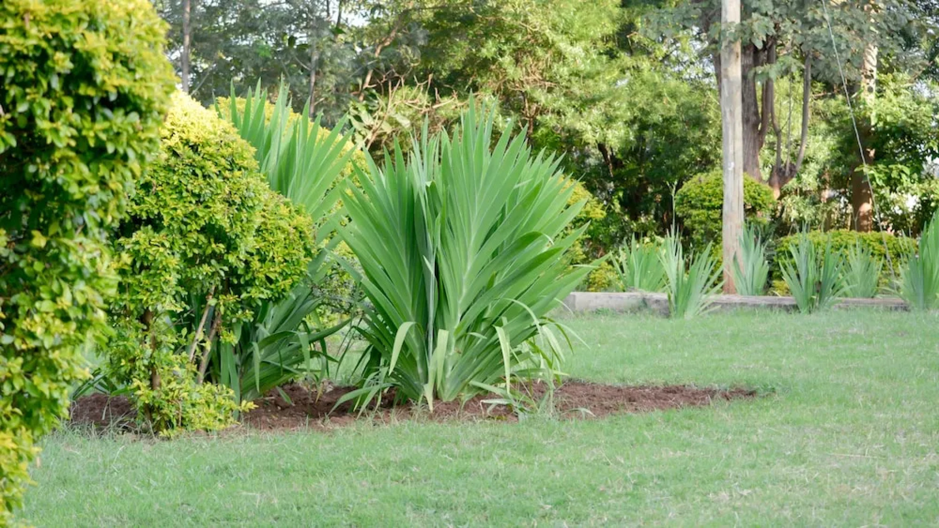 Kili-Konka Holiday Villa