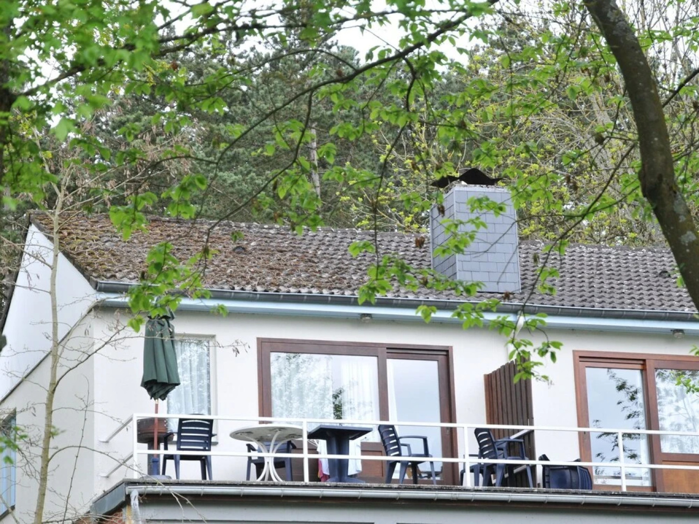 Cozy, Carefully Furnished Bungalow near Maas