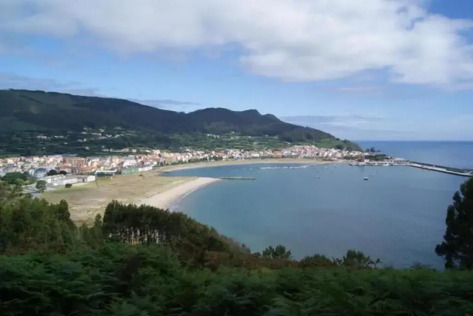 Hostal Restaurante La Cepa