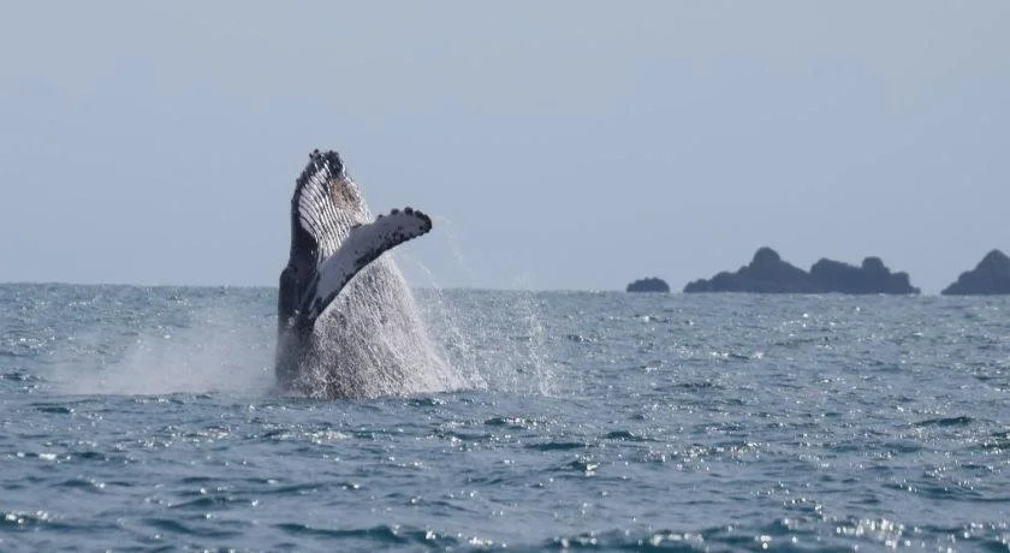 Hotel Bahía Yubarta