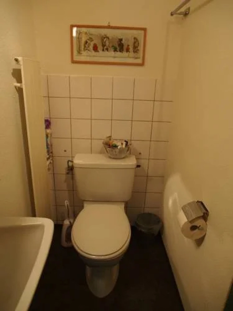 Backpacker Planaterra