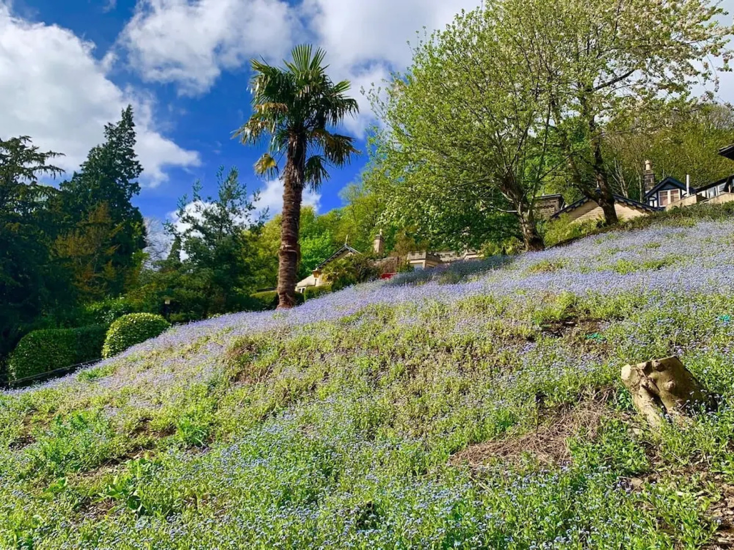 Harefield Hall Hotel