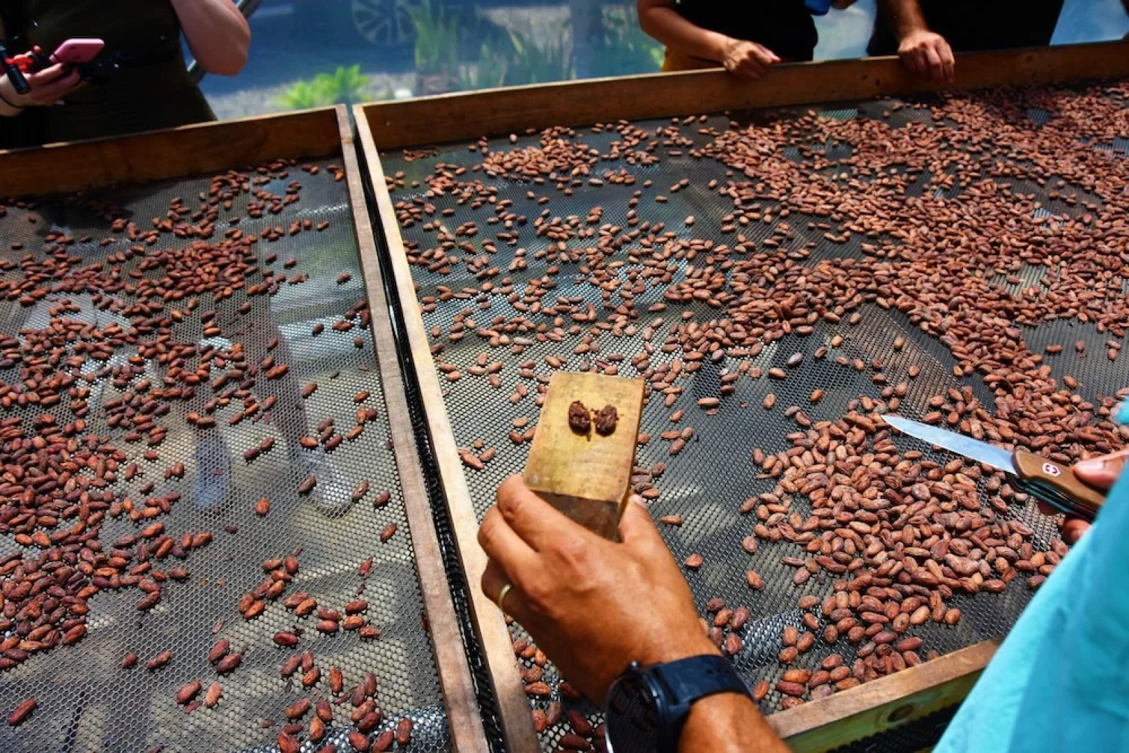 Boutique Hotel Casa de Lis