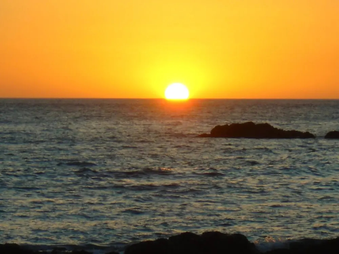 You Imagine Costa Rica Our Location Being on the Beach is What You Imagine