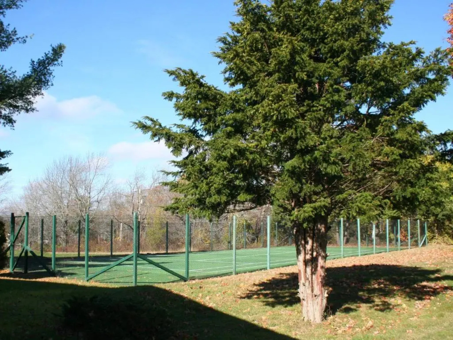 The Windrifter Resort