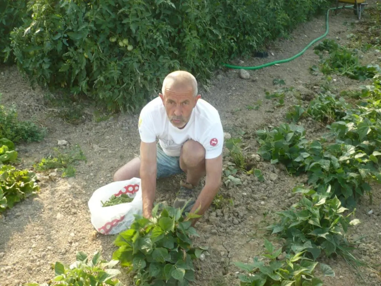 Agriturismo Santa Chiara