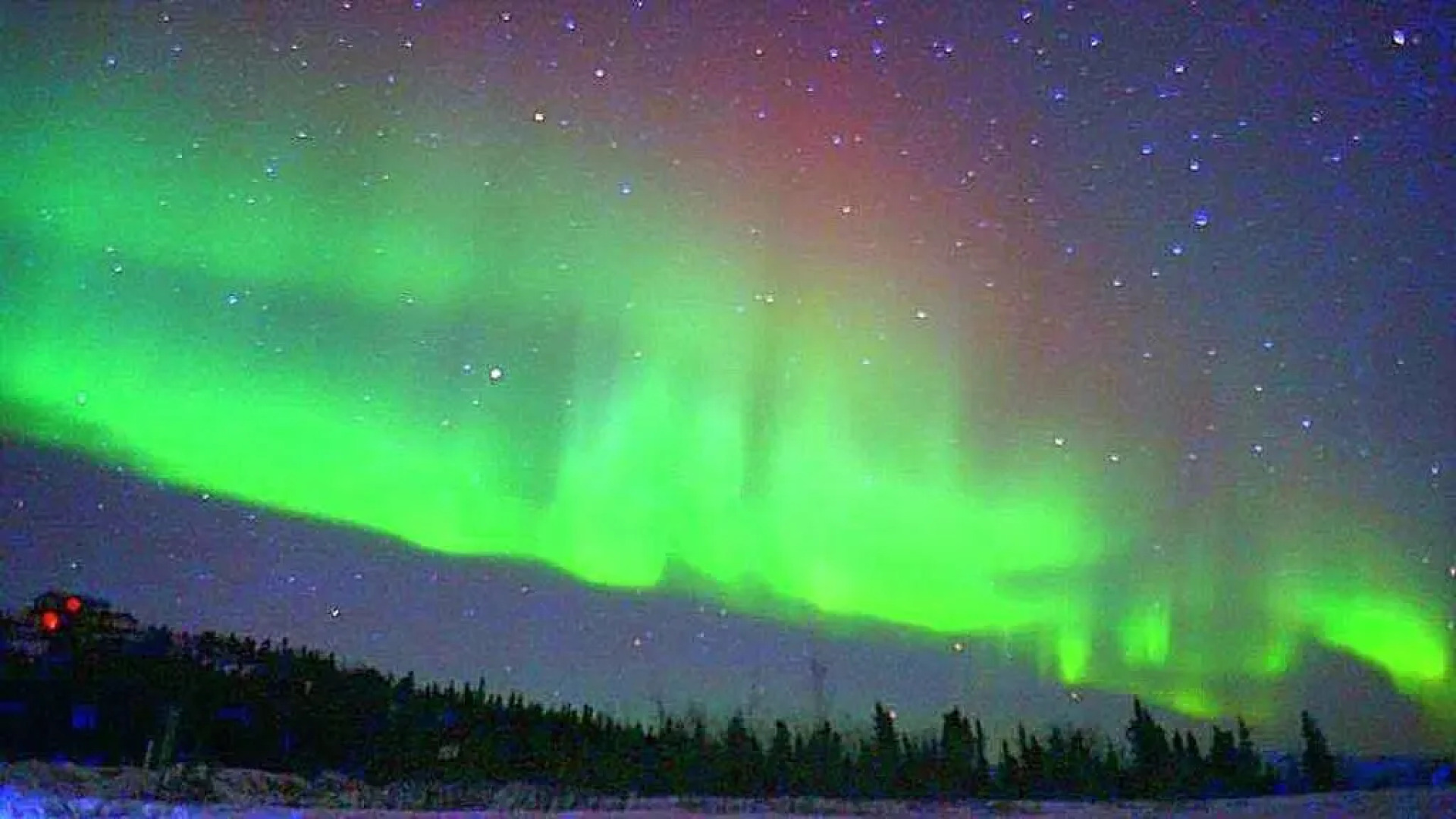 A Downtown Log Cabin Hideaway