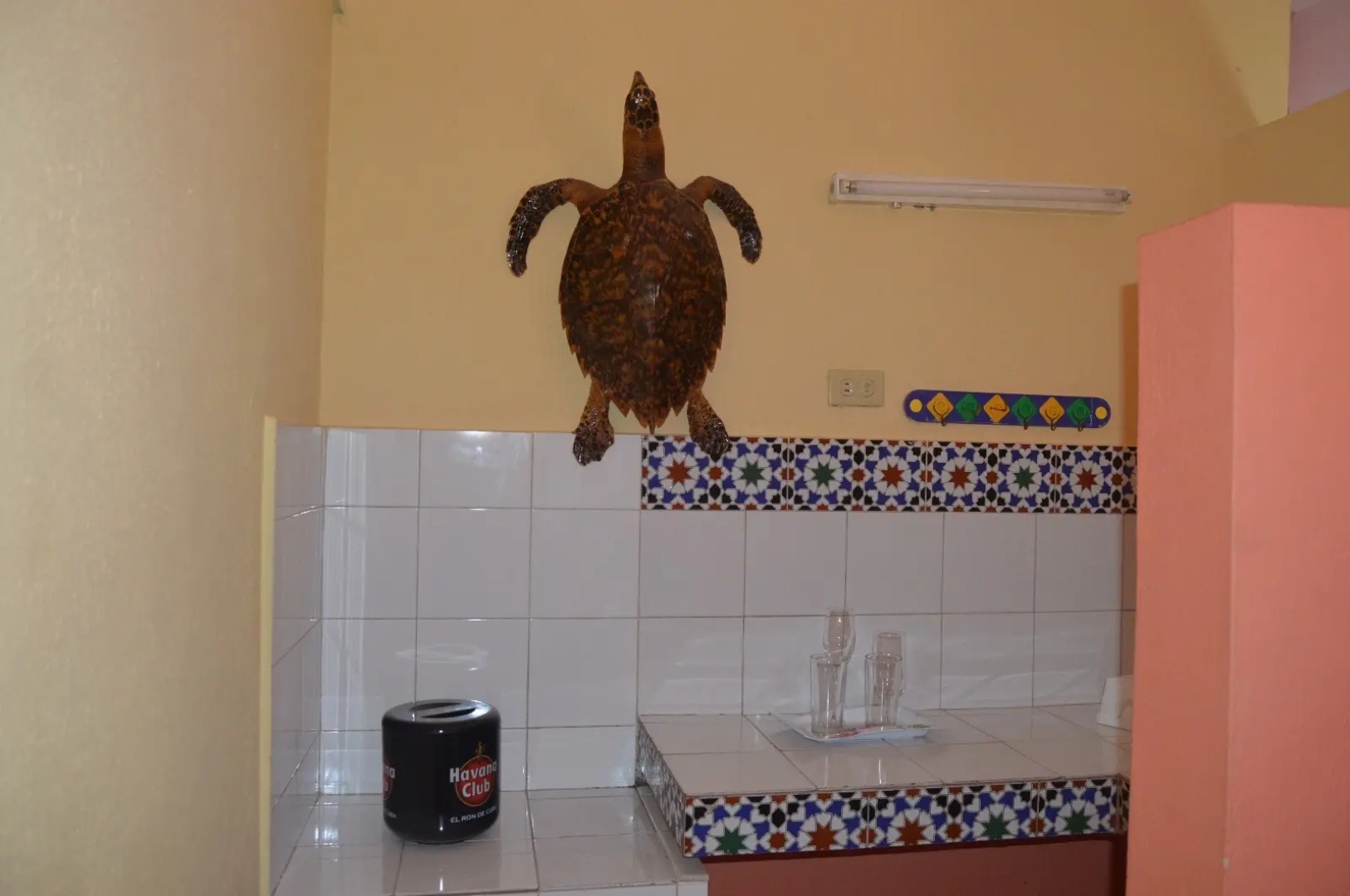 Casa Lidia Margarita