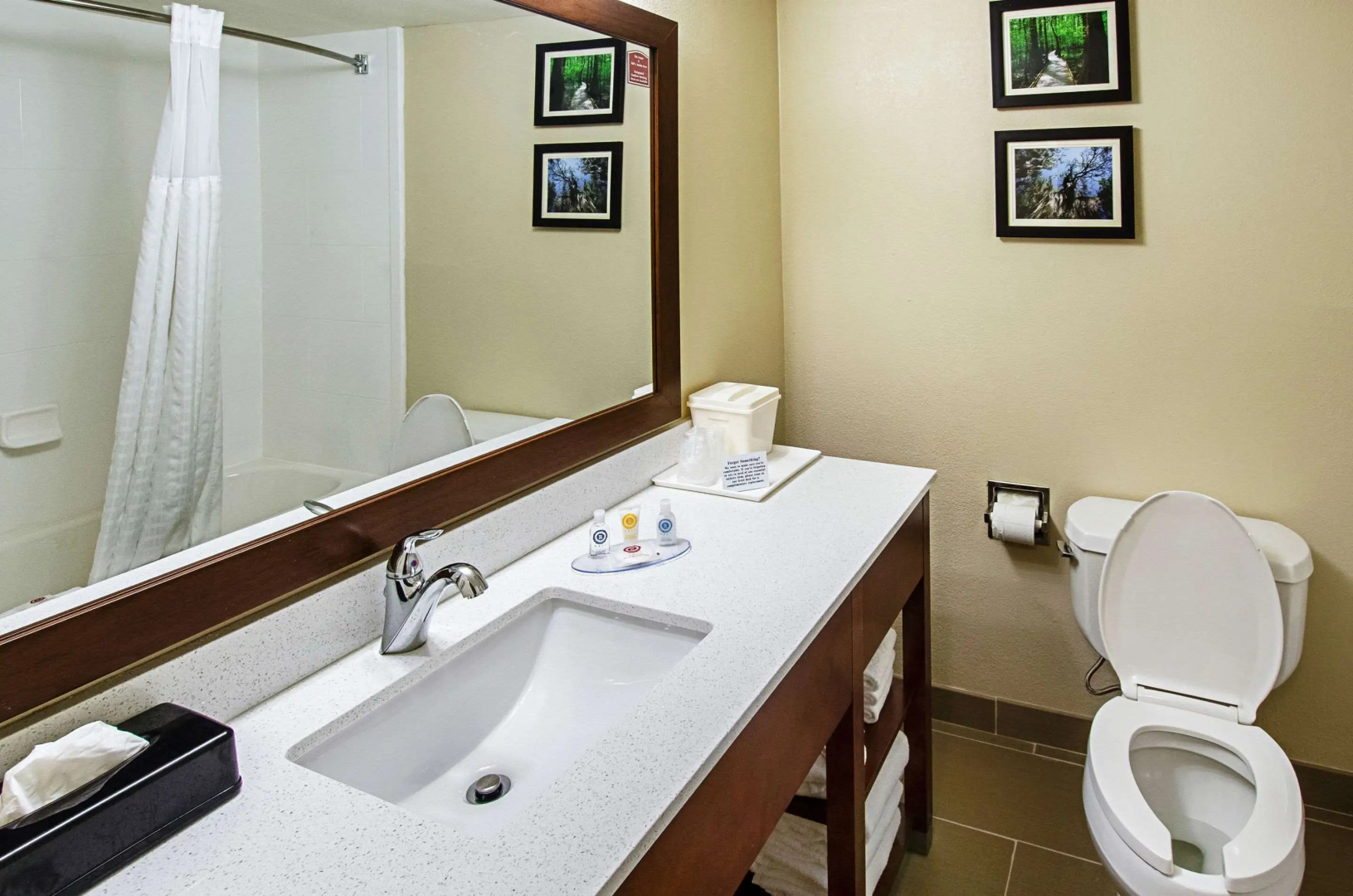 Comfort Inn & Suites Santee