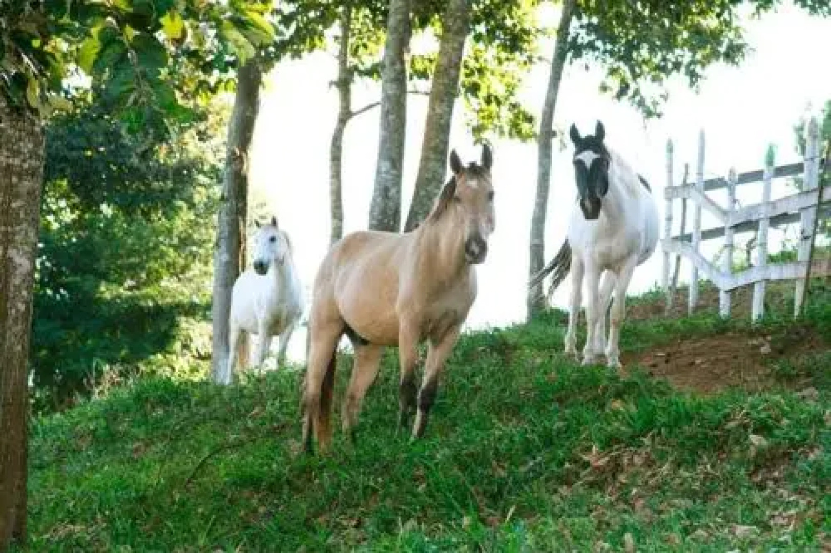 Pousada e Chalés Arco-Íris