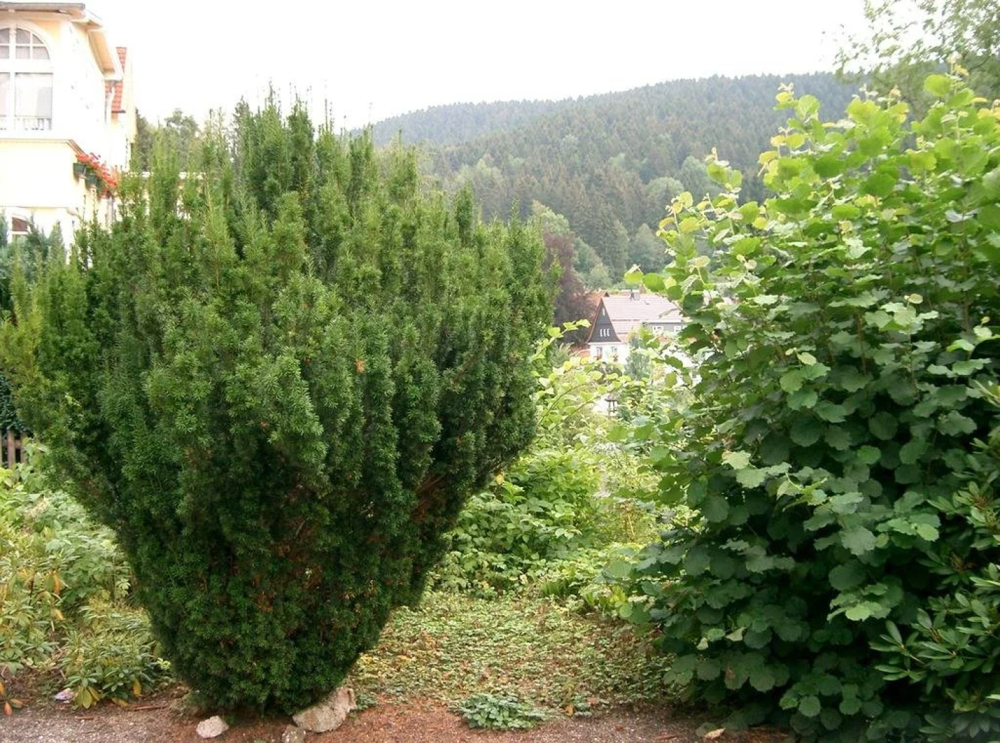 Pension Haus Martha