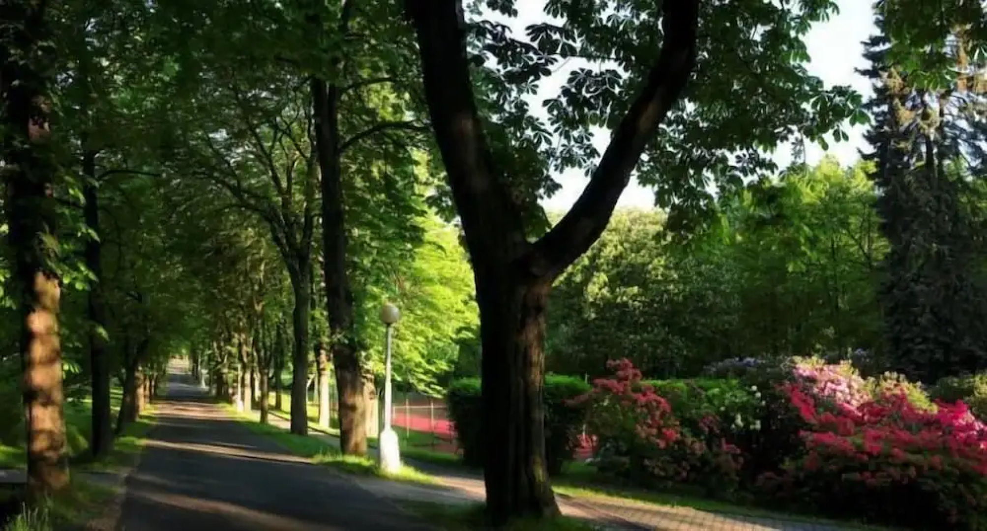 Spa Resort Libverda - Nový Dům