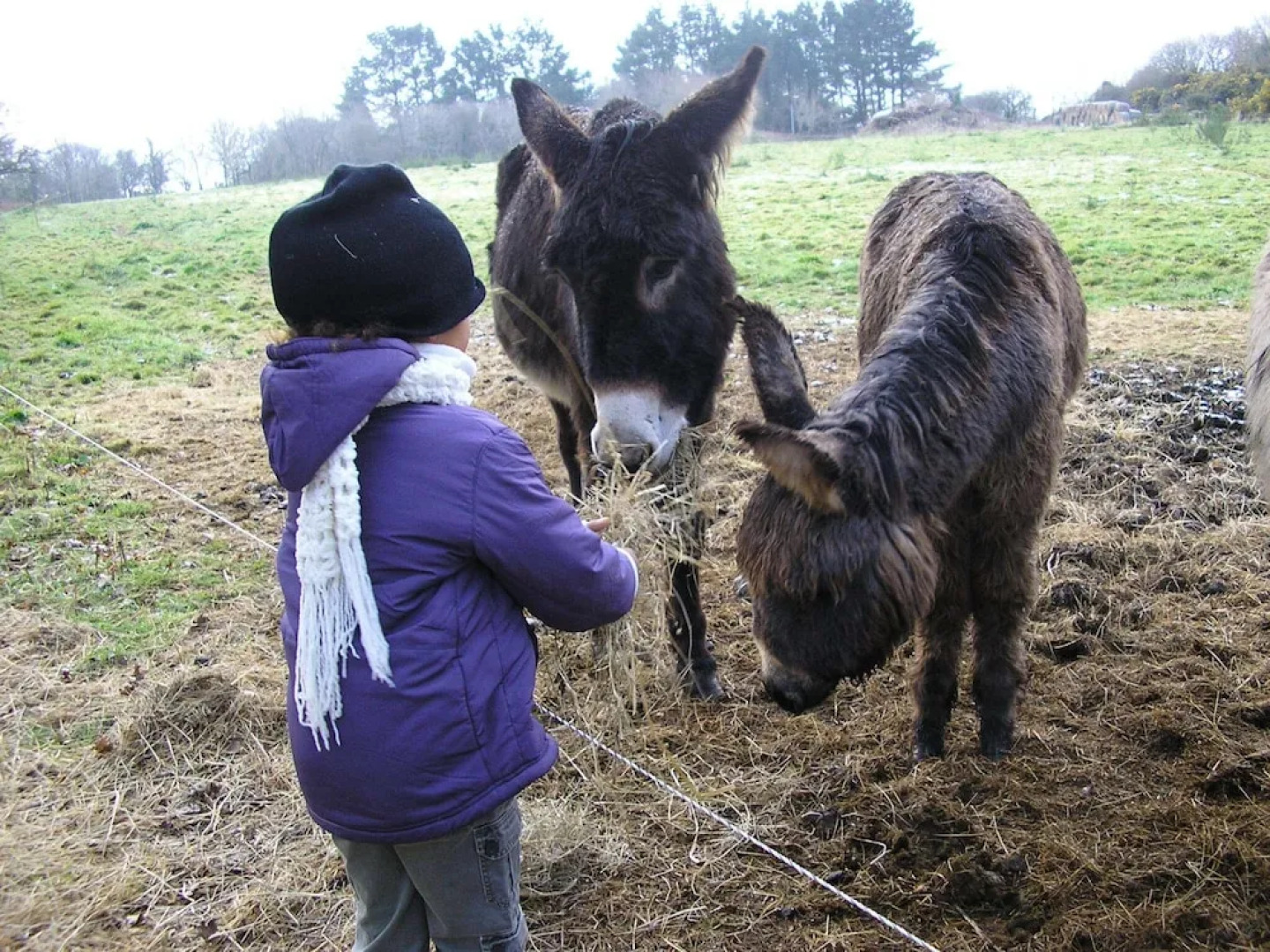 Les chambres d'hôtes de Kérael